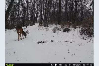 14096  Turben Ridge Rd, Clayton, WI 54655 - Photo 25