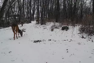 14096 Turben Ridge Rd, Clayton, WI 54655 - Photo 25