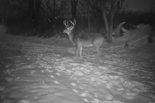 14096 Turben Ridge Rd, Clayton, WI 54655 - Photo 39