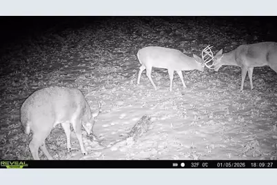 14096  Turben Ridge Rd, Clayton, WI 54655 - Photo 59