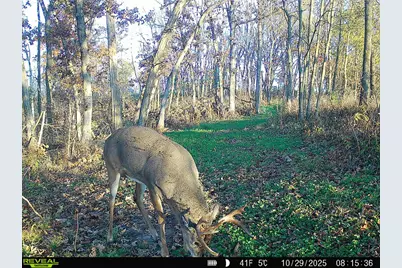 14096  Turben Ridge Rd, Clayton, WI 54655 - Photo 41