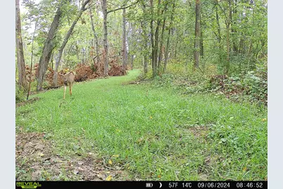 14096  Turben Ridge Rd, Clayton, WI 54655 - Photo 37