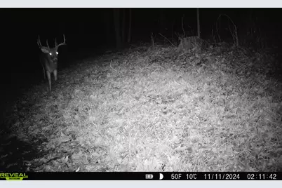 14096  Turben Ridge Rd, Clayton, WI 54655 - Photo 55