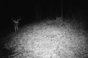 14096 Turben Ridge Rd, Clayton, WI 54655 - Photo 55