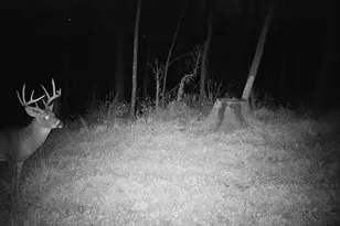 14096 Turben Ridge Rd, Clayton, WI 54655 - Photo 33