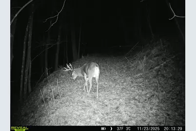 14096  Turben Ridge Rd, Clayton, WI 54655 - Photo 49