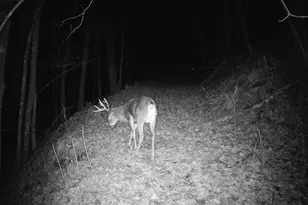 14096 Turben Ridge Rd, Clayton, WI 54655 - Photo 49