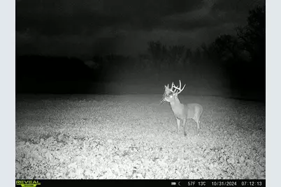 14096  Turben Ridge Rd, Clayton, WI 54655 - Photo 57