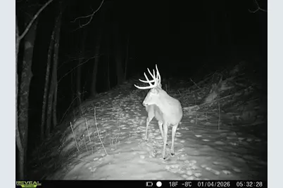 14096  Turben Ridge Rd, Clayton, WI 54655 - Photo 53