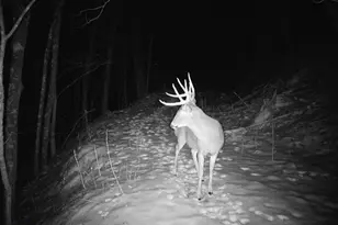 14096 Turben Ridge Rd, Clayton, WI 54655 - Photo 53