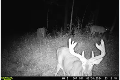 14096  Turben Ridge Rd, Clayton, WI 54655 - Photo 43