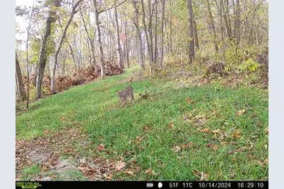 14096  Turben Ridge Rd, Clayton, WI 54655 - Photo 45