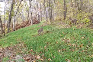 14096 Turben Ridge Rd, Clayton, WI 54655 - Photo 45