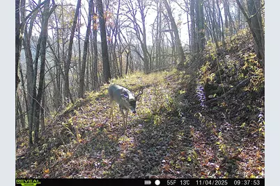 14096  Turben Ridge Rd, Clayton, WI 54655 - Photo 51