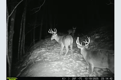 14096  Turben Ridge Rd, Clayton, WI 54655 - Photo 27