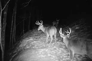 14096 Turben Ridge Rd, Clayton, WI 54655 - Photo 27