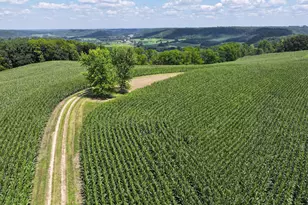 14096 Turben Ridge Rd, Clayton, WI 54655 - Photo 5