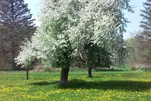 3661 Blue Goose Rd, Saukville, WI 53095 - Photo 61