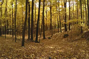 3661 Blue Goose Rd, Saukville, WI 53095 - Photo 59