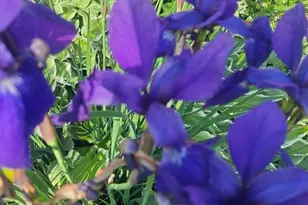 308 Adams St, Fort Atkinson, WI 53538 - Photo 33