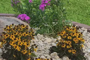 W934 510th Ave, Rock Elm, WI 54740 - Photo 93