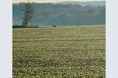 W1049  County Road D -, Spring Prairie, WI 53105 - Photo 67