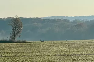 W1049 Co Rd D, Spring Prairie, WI 53105 - Photo 37