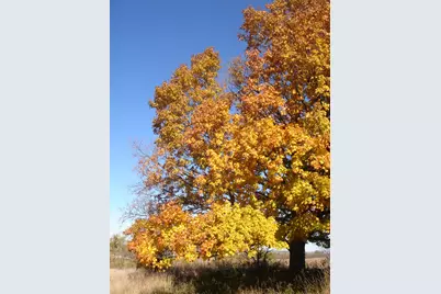 Lt0  Schumacher Rd, Calumet, WI 53049 - Photo 5