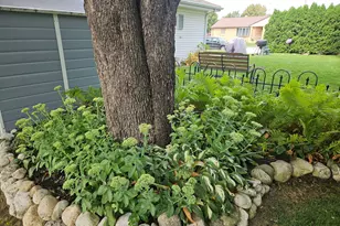 1837 N 22nd St, Sheboygan, WI 53081 - Photo 39