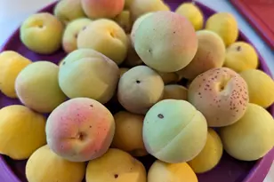 112 28th Ave, Somers, WI 53403 - Photo 37