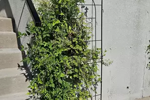 W7986 County Rd B, Lake Mills, WI 53551 - Photo 31