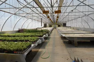 N64W21021 Mill Rd, Menomonee Falls, WI 53051 - Photo 35