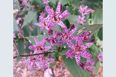 1432  Gunnell Ln, Manitowoc, WI 54220 - Photo 71