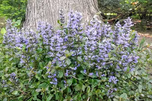 1432 Gunnell Ln, Manitowoc, WI 54220 - Photo 69