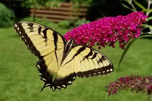 1432 Gunnell Ln, Manitowoc, WI 54220 - Photo 83