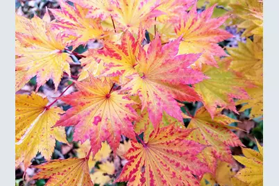 1432  Gunnell Ln, Manitowoc, WI 54220 - Photo 79