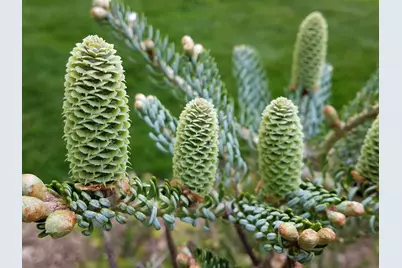 1432  Gunnell Ln, Manitowoc, WI 54220 - Photo 77