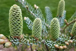 1432 Gunnell Ln, Manitowoc, WI 54220 - Photo 77