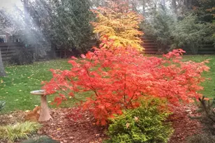 1432 Gunnell Ln, Manitowoc, WI 54220 - Photo 67