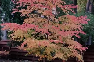 1432 Gunnell Ln, Manitowoc, WI 54220 - Photo 75