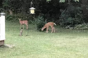 N44W28076 Capitol Dr, Delafield, WI 53072 - Photo 17