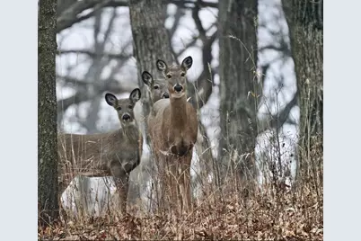 N11W31386  Fairfield Way, Delafield, WI 53018 - Photo 61