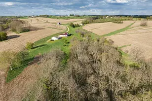 E8527 Nelson Rd, Kickapoo, WI 54652 - Photo 13