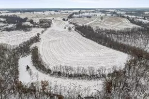 E8527 Nelson Rd, Kickapoo, WI 54652 - Photo 83