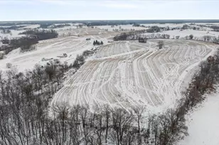 E8527 Nelson Rd, Kickapoo, WI 54652 - Photo 47