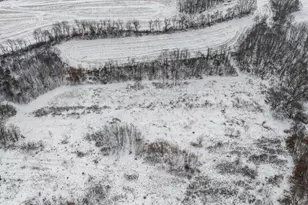 E8527 Nelson Rd, Kickapoo, WI 54652 - Photo 57