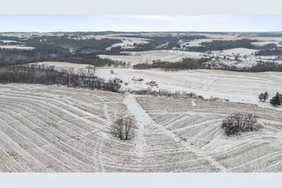 E8527  Nelson Rd, Kickapoo, WI 54652 - Photo 49