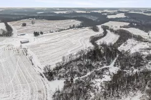 E8527 Nelson Rd, Kickapoo, WI 54652 - Photo 59