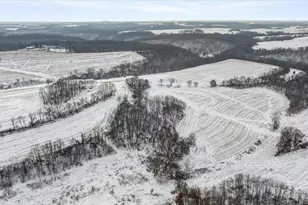 E8527 Nelson Rd, Kickapoo, WI 54652 - Photo 55