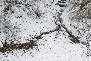 E8527 Nelson Rd, Kickapoo, WI 54652 - Photo 9